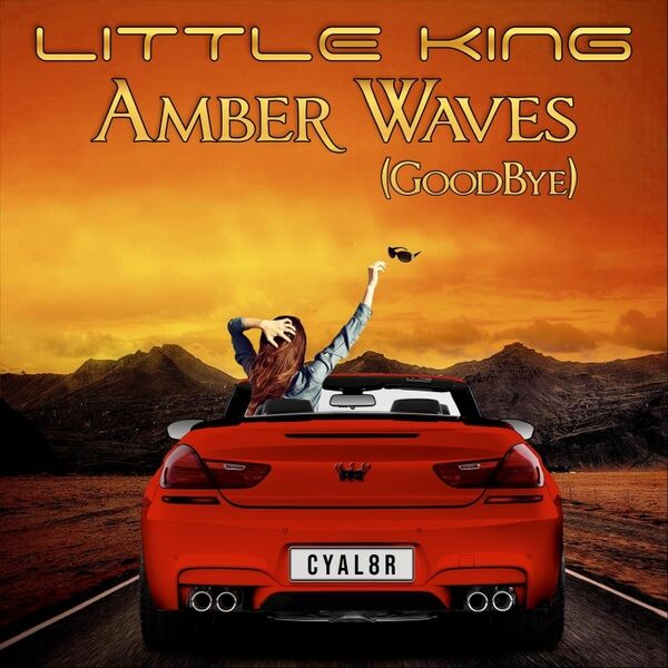 Cover art for Amber Waves (GoodBye)